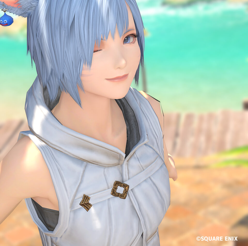 アドベンチャラーフードベスト